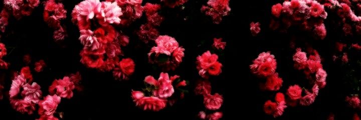 kulakoval's profile banner image