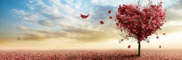 vyaeff's profile banner image