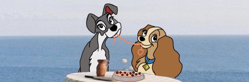 ebrakcy's profile banner image