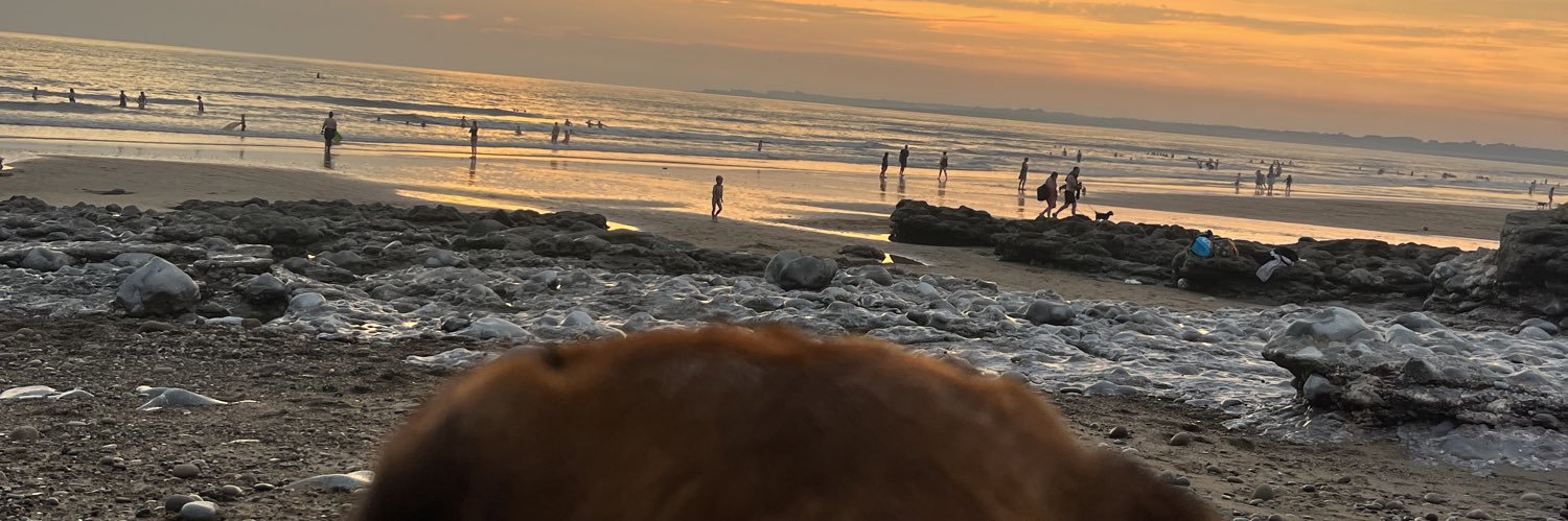 mia_howells's profile banner image