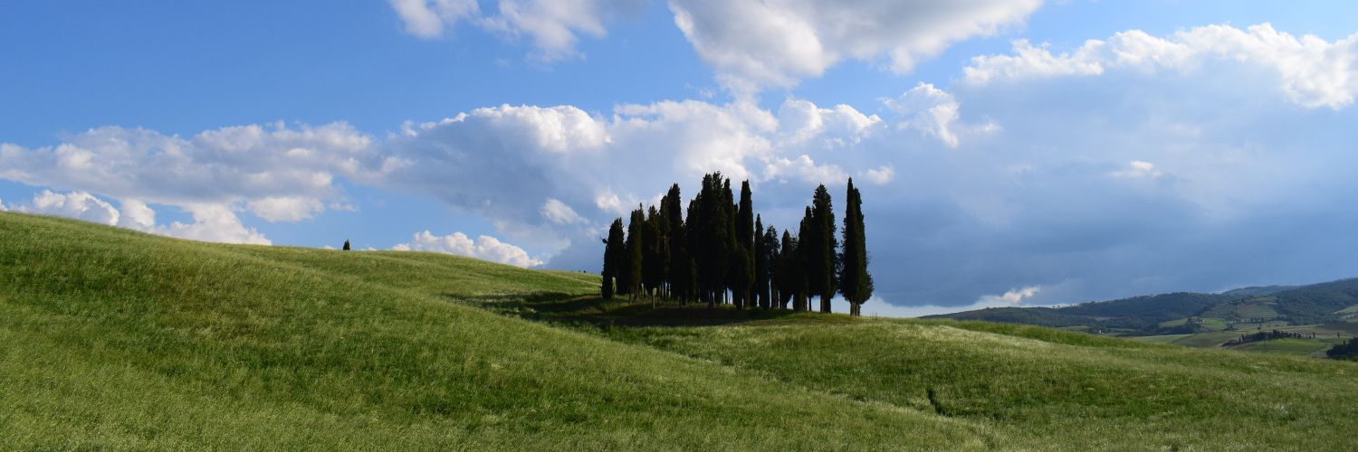 Luca Zurli banner