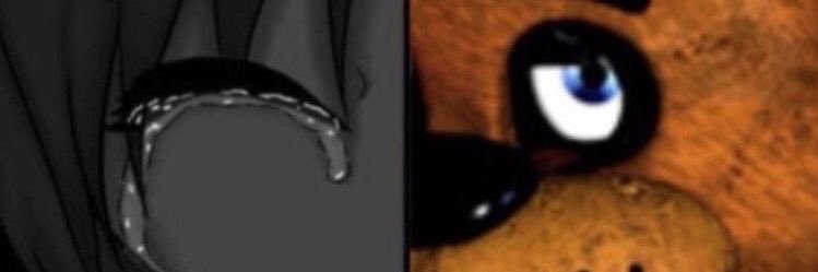 ppolarizee's profile banner image
