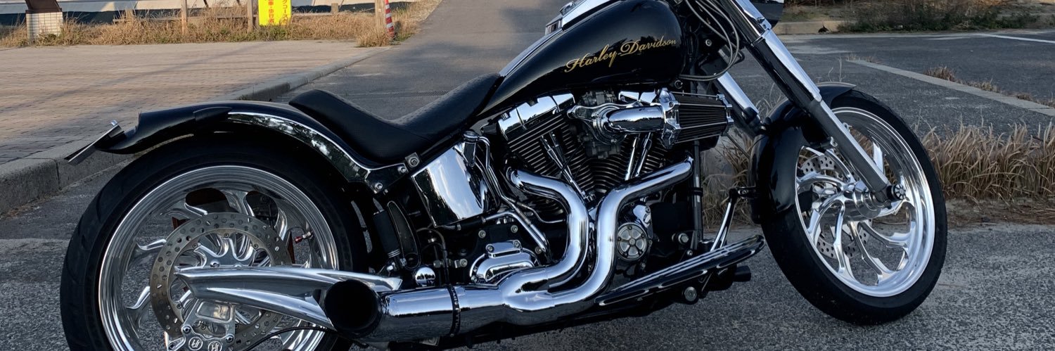 Ryuji🥀🦇🌙 banner