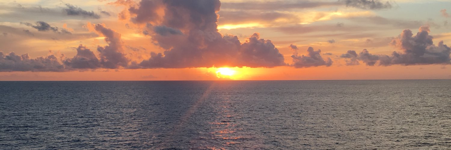 noelskelton's profile banner image