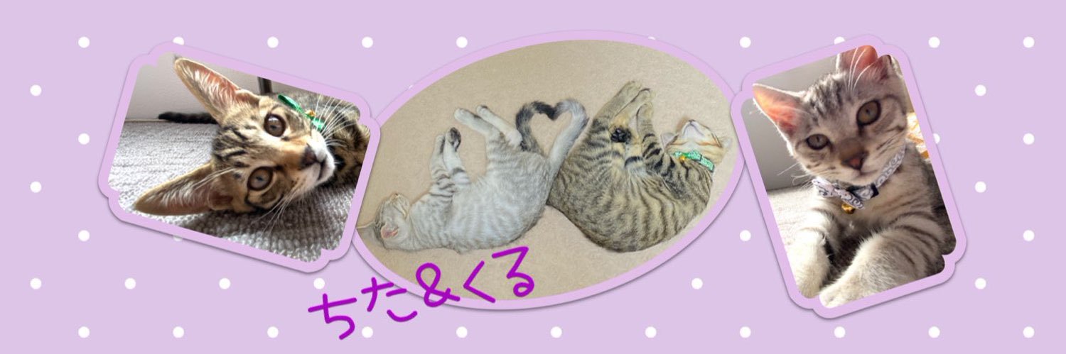 posaune69's profile banner image