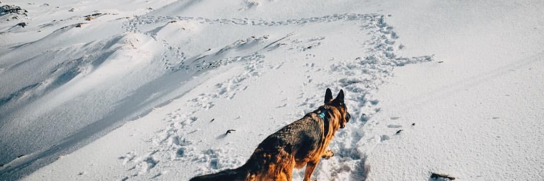JulieRun95's profile banner image