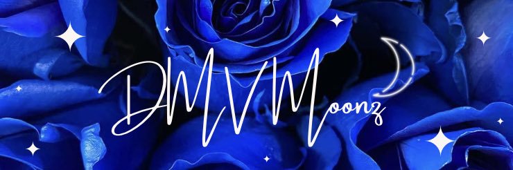 everything is alot • 11.14.2025 banner