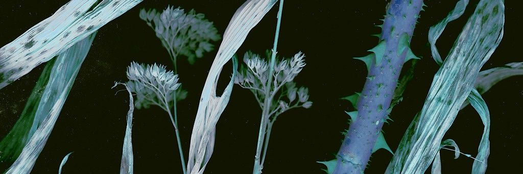 KSpleen's profile banner image