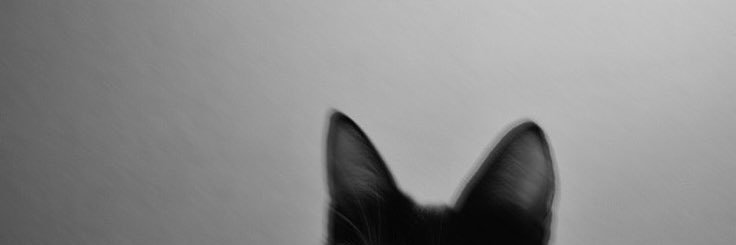 elmac__'s profile banner image