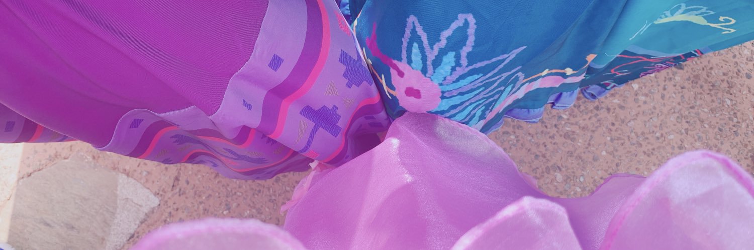 banadisney's profile banner image