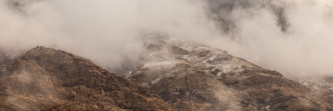 Seth Taylor banner