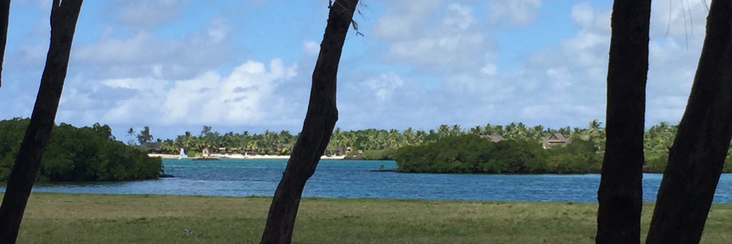 AnneCe23's profile banner image
