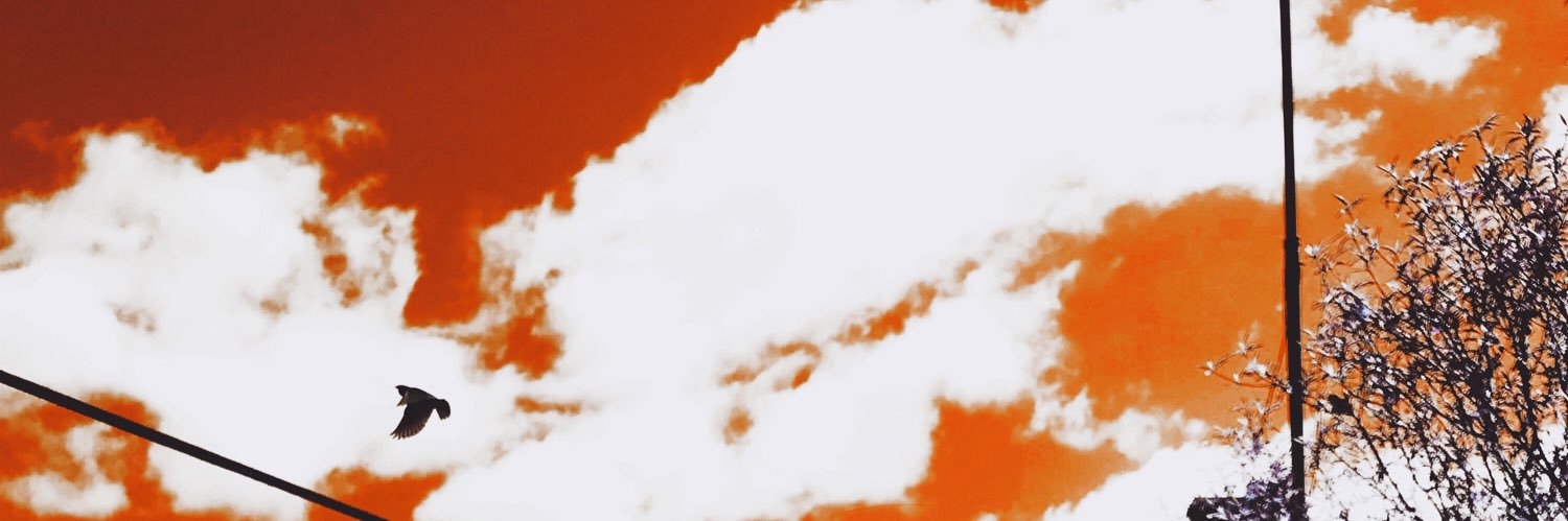 NvstyFrmDaWick banner