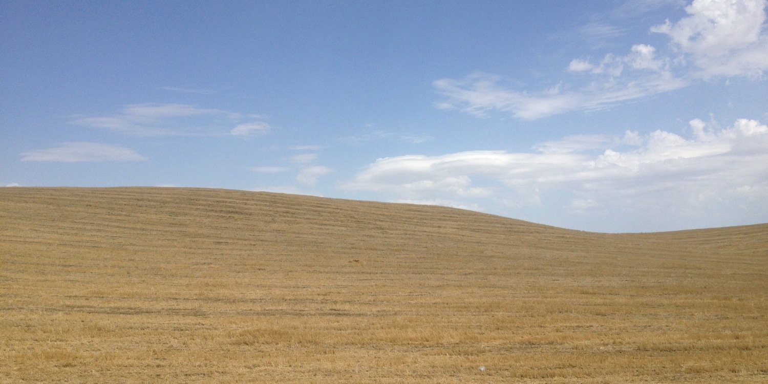 LucaCorreale's profile banner image