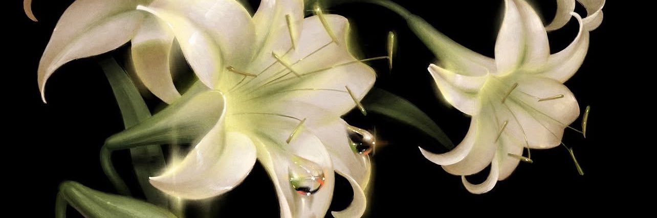 Amanda Simmons banner