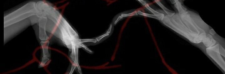 kwp34_'s profile banner image