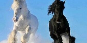 jimmyagame's profile banner image