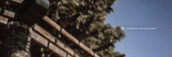 MorandTimothee Profile Banner
