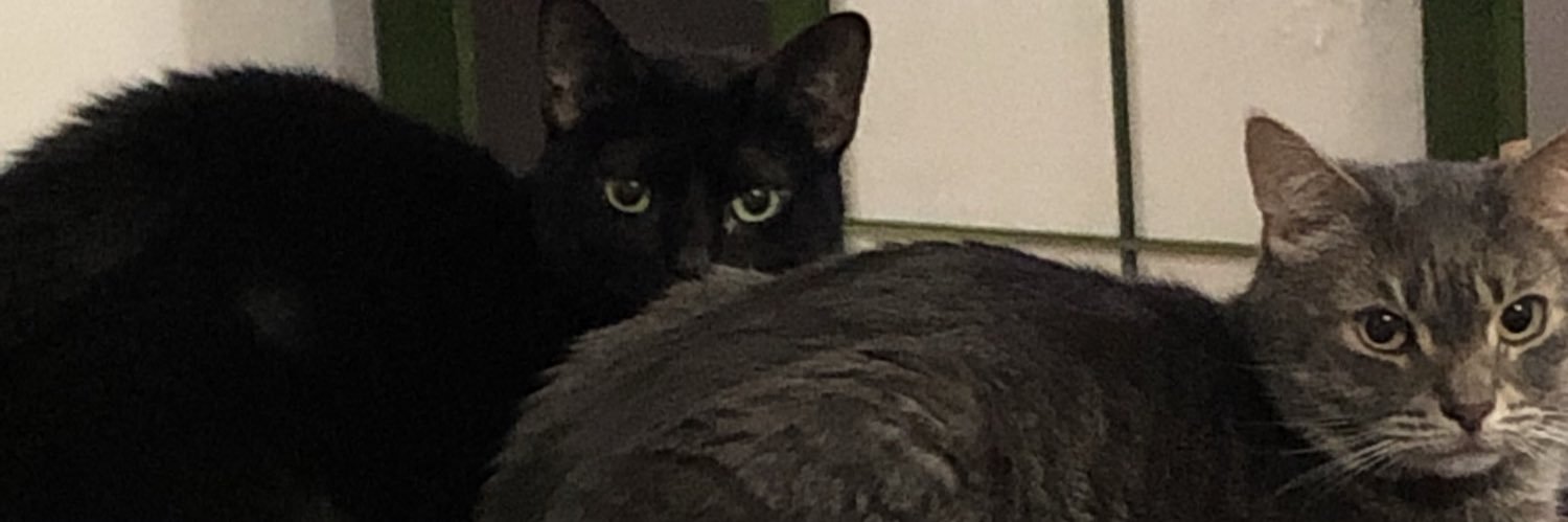 jackiiie_b's profile banner image