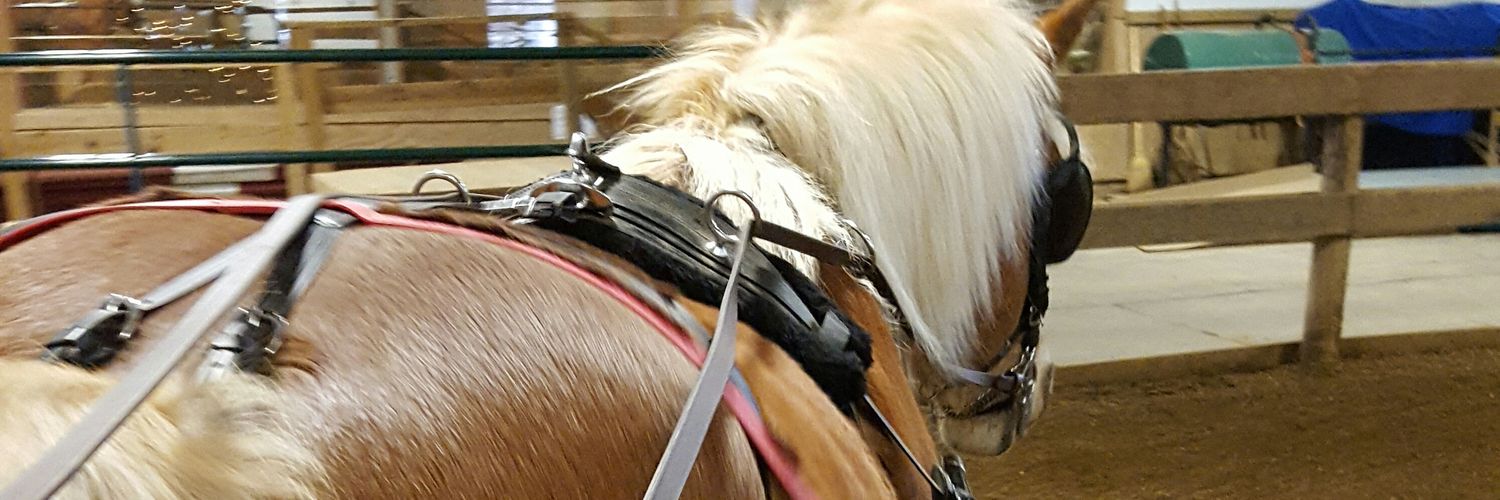 JoyAdamski's profile banner image