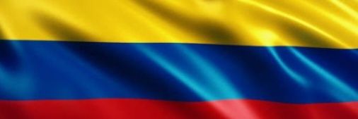 Patricia Barbosa banner
