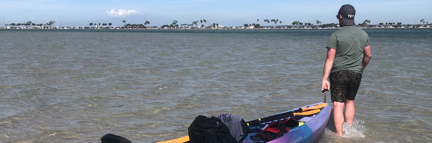 allyfox3's profile banner image