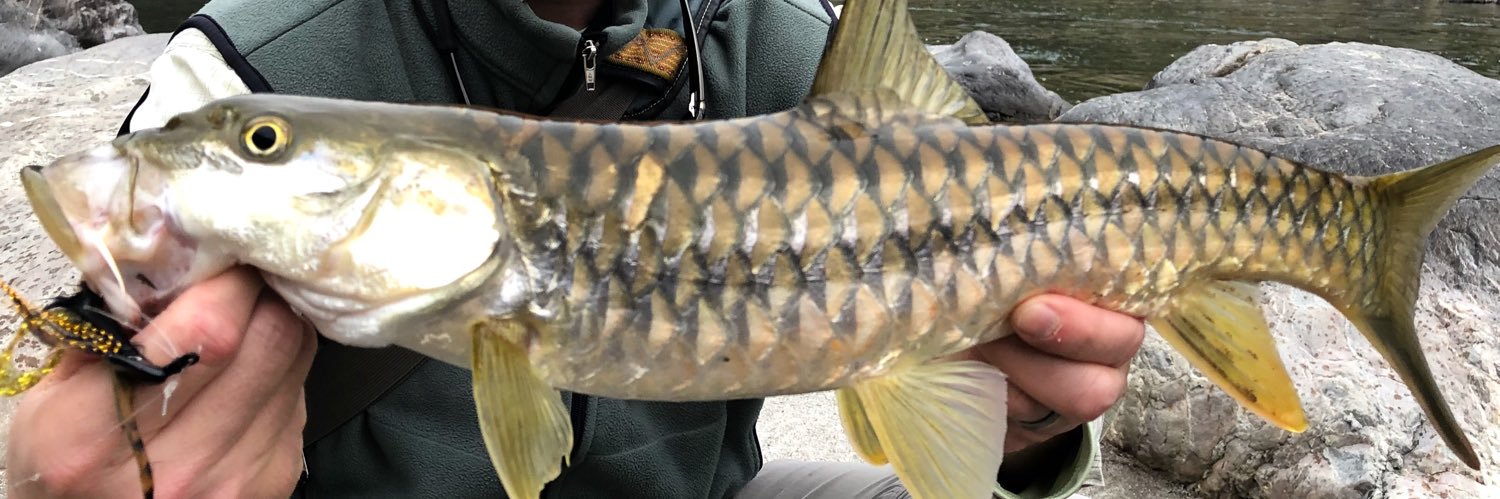 BuggsFishing's profile banner image