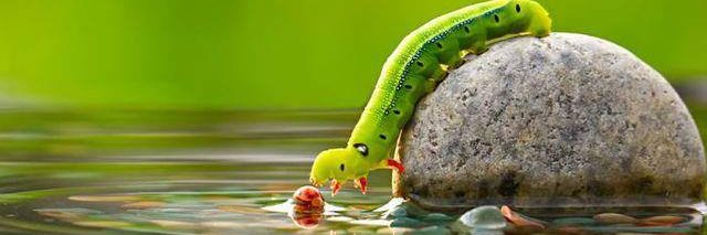 İSMAİL SEÇME banner