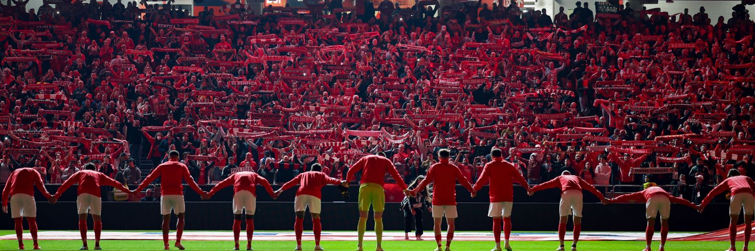 tmsfernandes's profile banner image