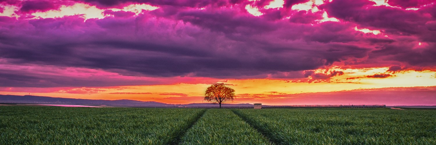 dol0res_eth's profile banner image