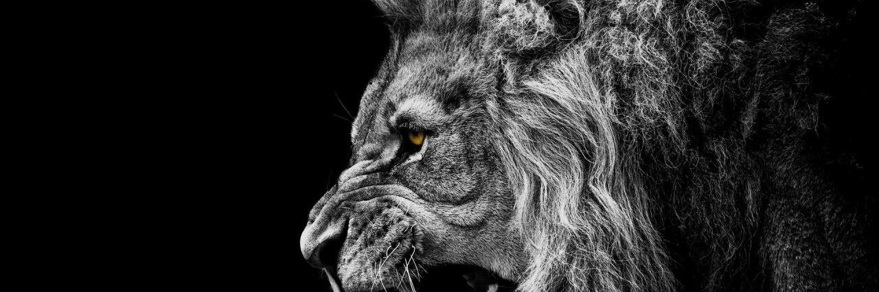 LeakMadiq's profile banner image