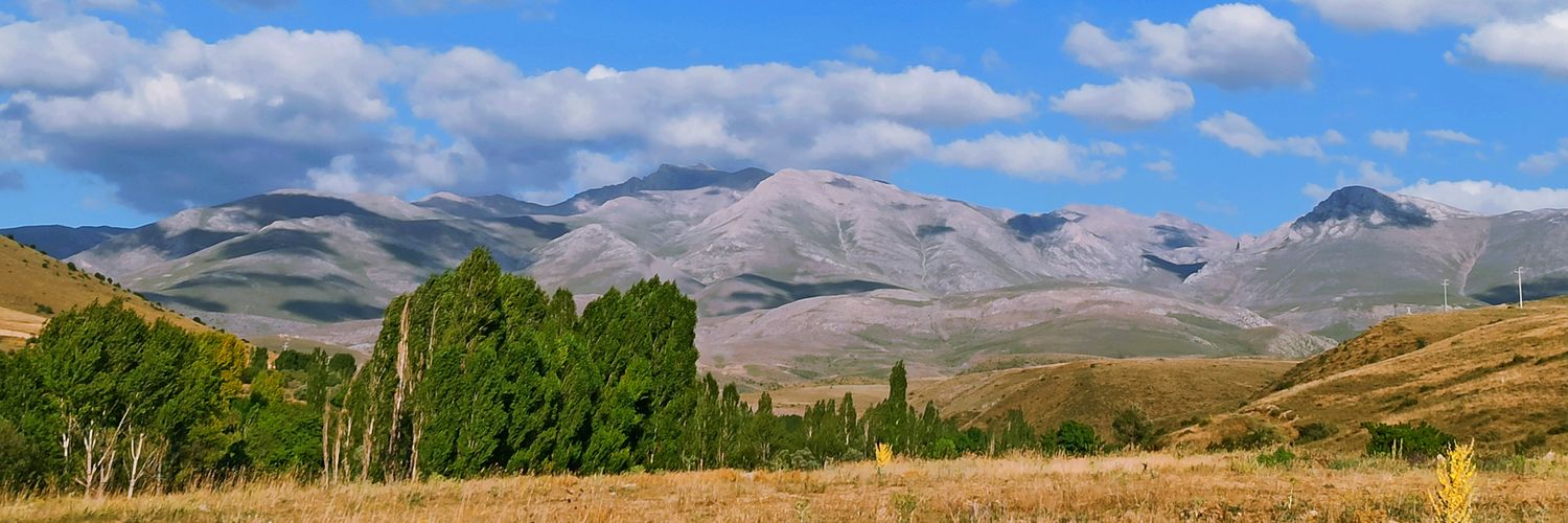 Hayekse's profile banner image