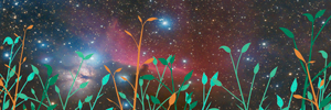 dania_neko's profile banner image
