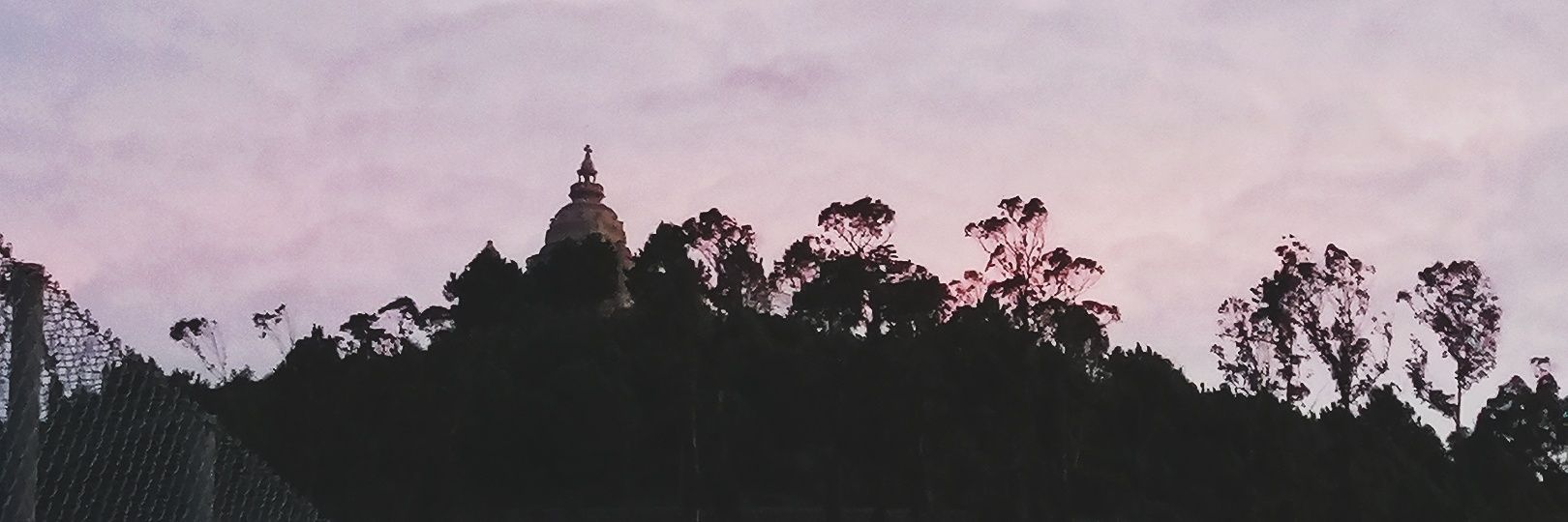 inesscmachado's profile banner image