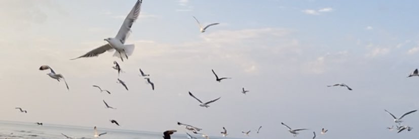 too0t8's profile banner image