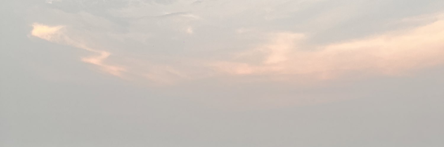 smildbuffalo's profile banner image