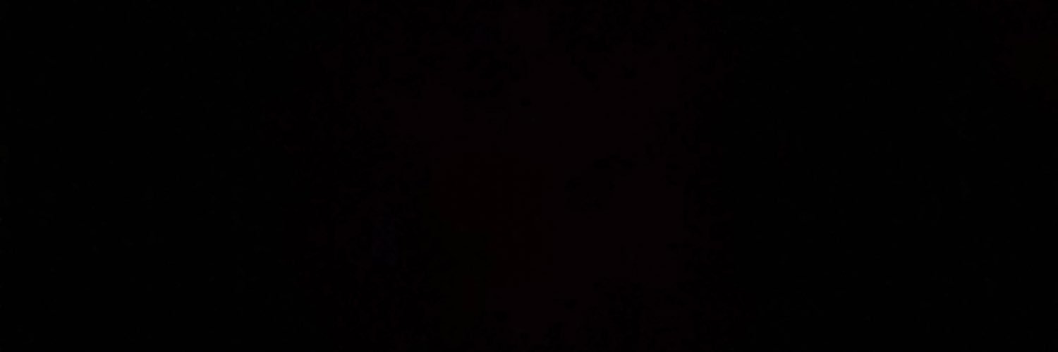 NS⚒ banner