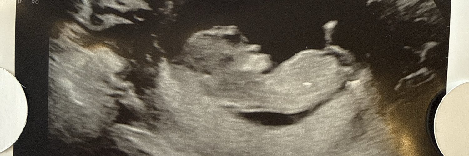 xellieweaver's profile banner image