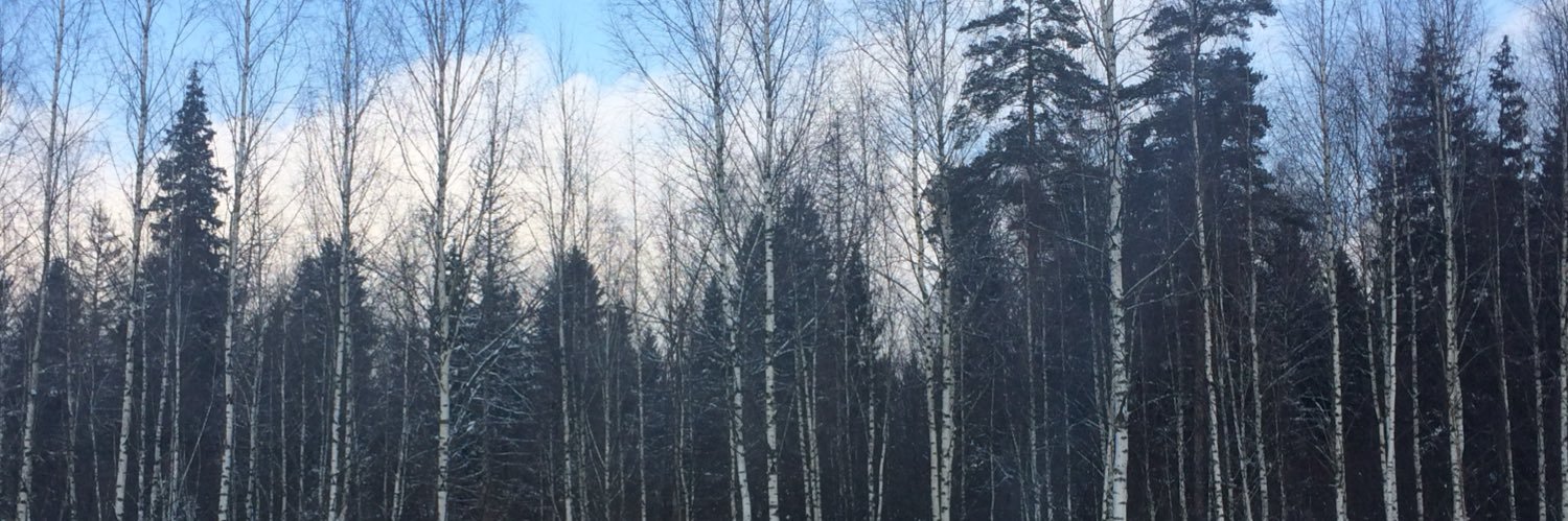 IvanKobzev's profile banner image
