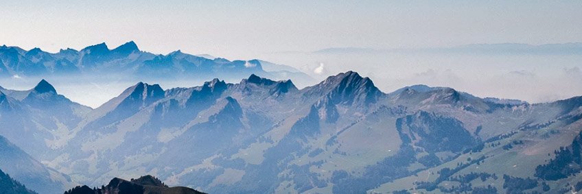 Digital Epidemiology Lab banner