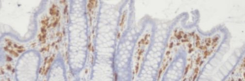 microalba's profile banner image