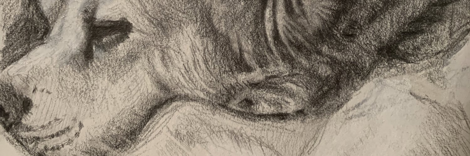 ajrichar's profile banner image