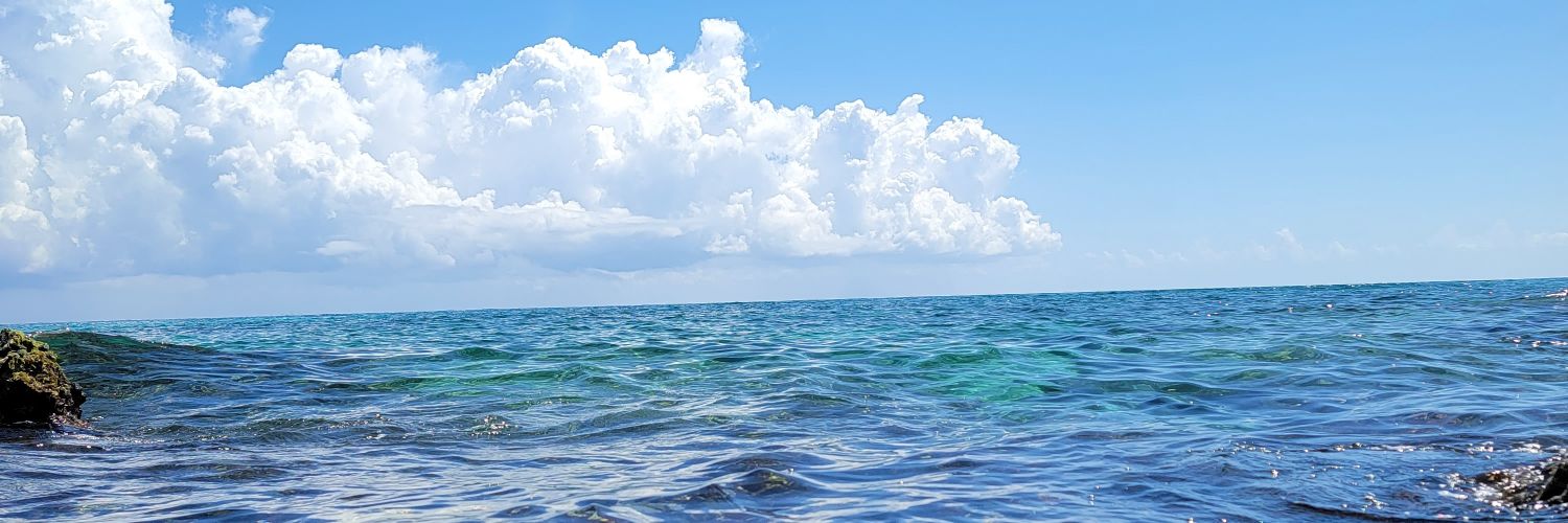 BiancaGLopez's profile banner image