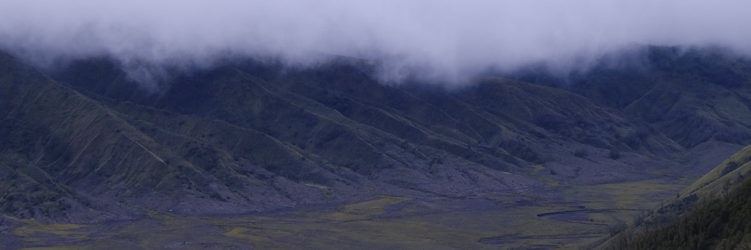 nikitagnipa's profile banner image