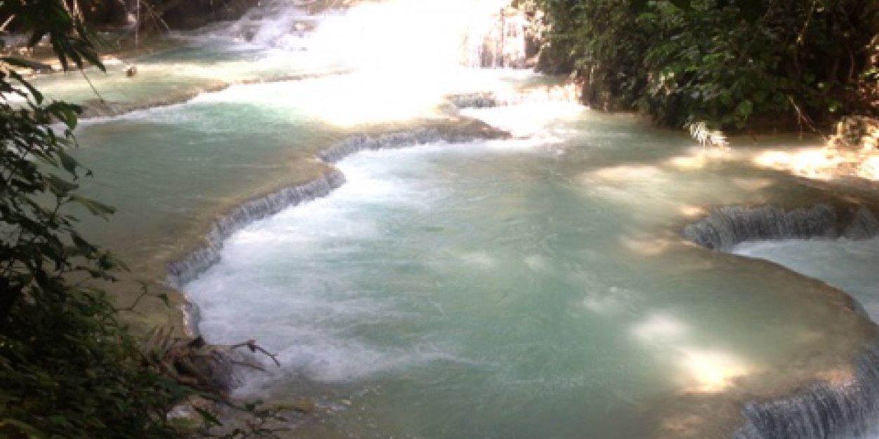 Luke fletcher banner