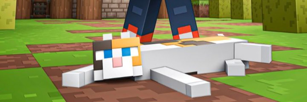 _SrGato_ banner