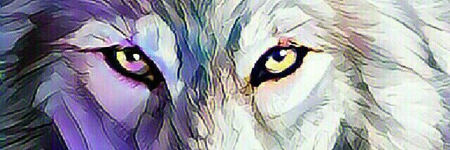 luciamelbe's profile banner image