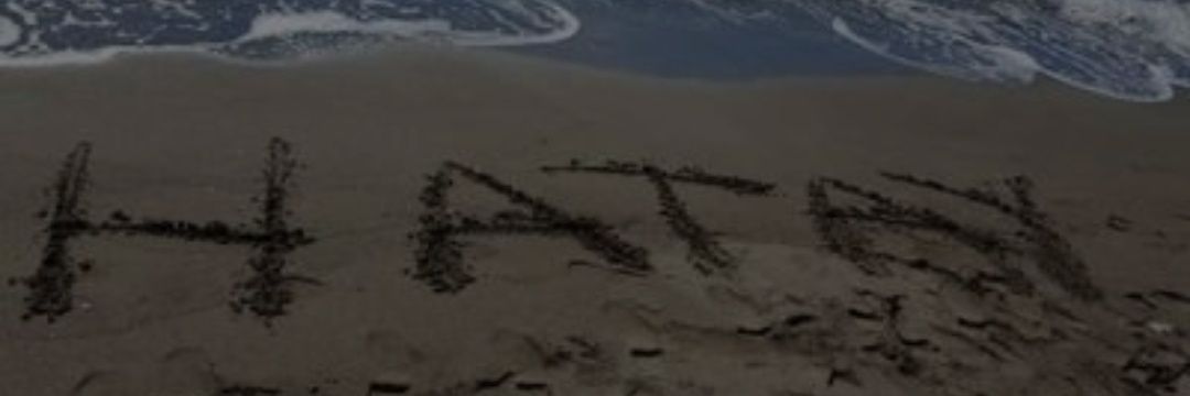 erva_mirac's profile banner image