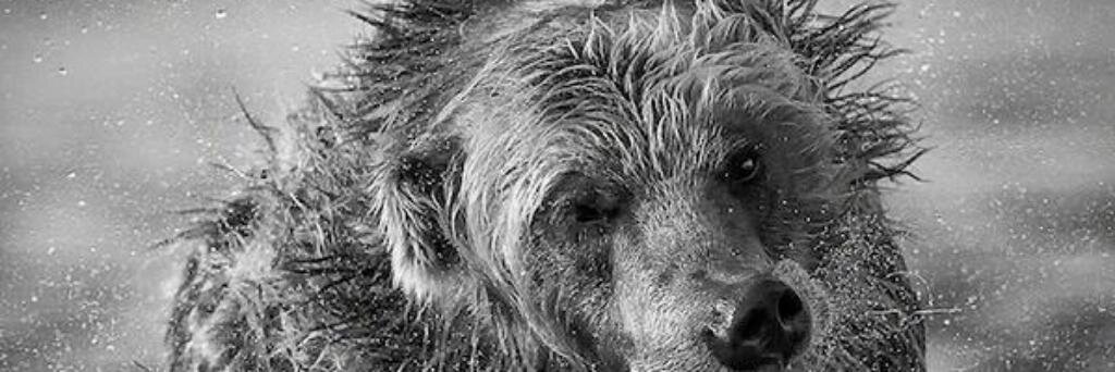 cjuite65's profile banner image