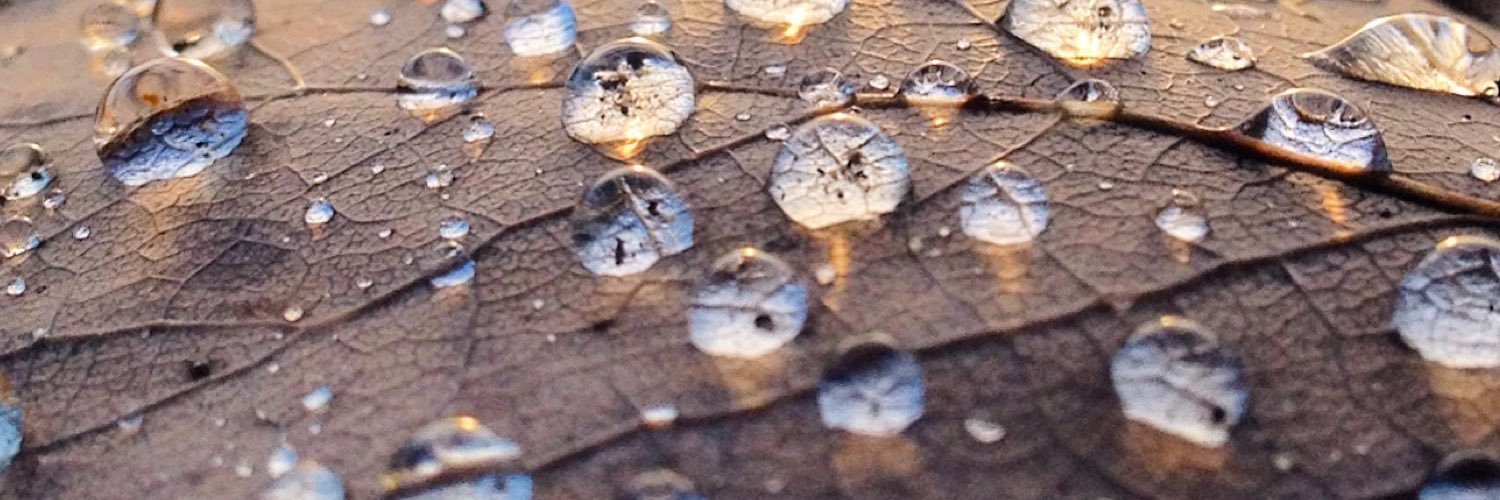 Johannes Malminen banner